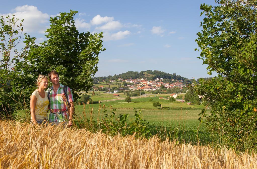 Zum Schwarzen Baeren Hotel Vohenstrauss Buitenkant foto