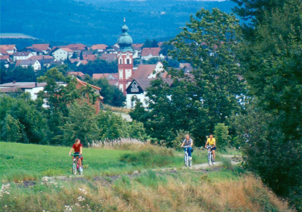Zum Schwarzen Baeren Hotel Vohenstrauss Buitenkant foto
